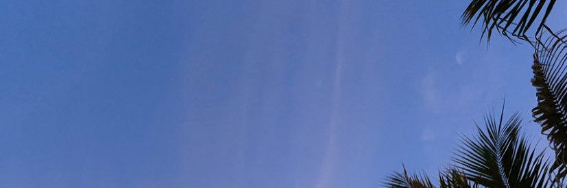 Andrés Chávez banner