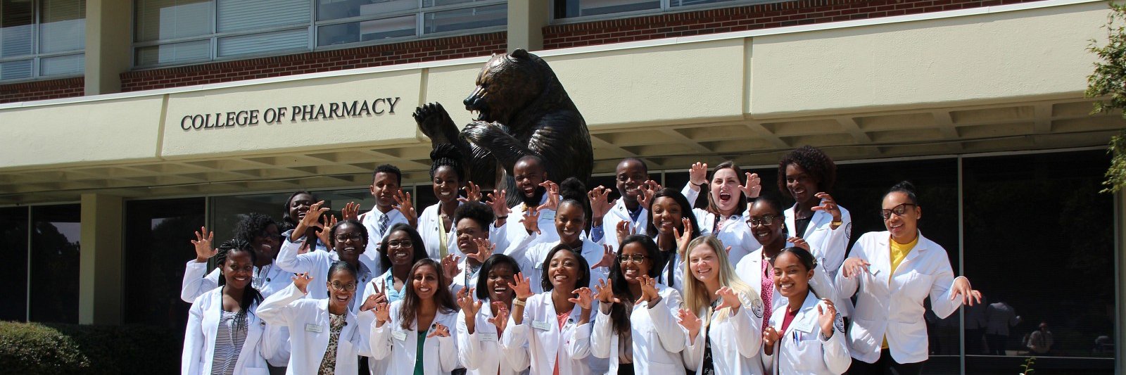 Mercer SNPhA banner