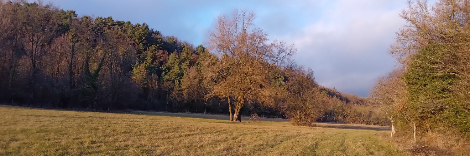 MBourdil's profile banner image