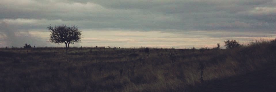 ay_ece's profile banner image