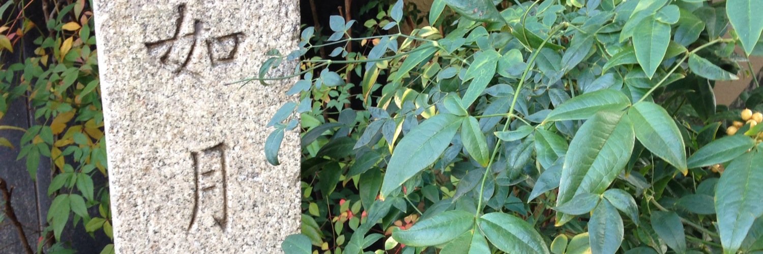 aya_key_J's profile banner image