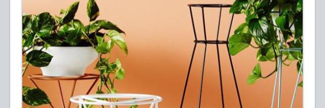 ivymuse_melb's profile banner image