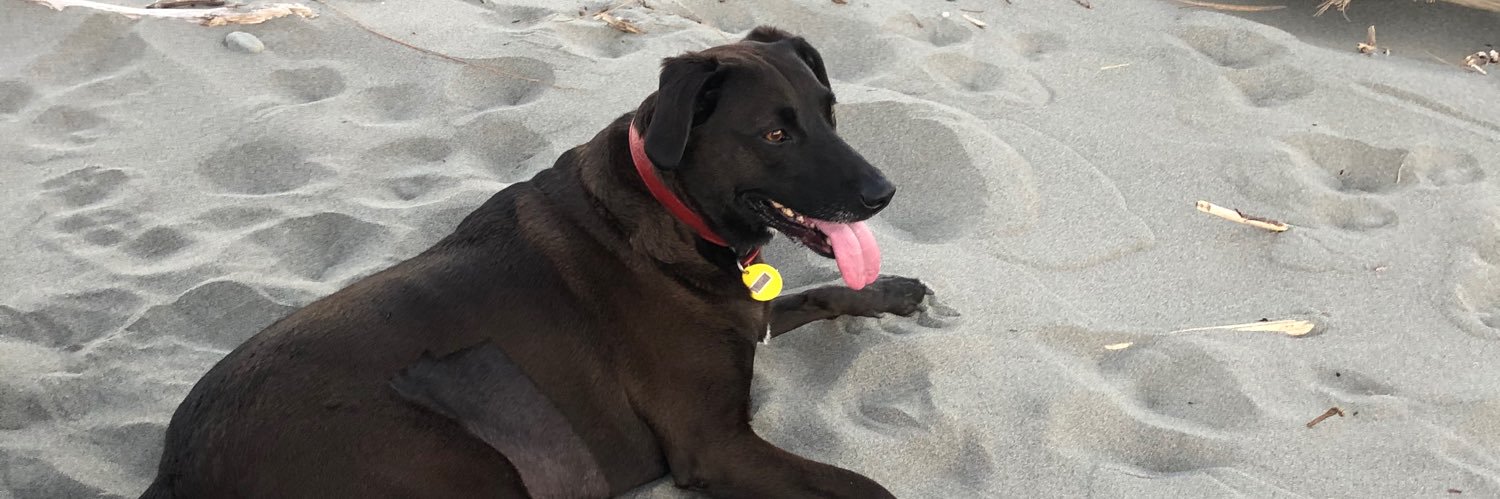 Kukumaddog's profile banner image