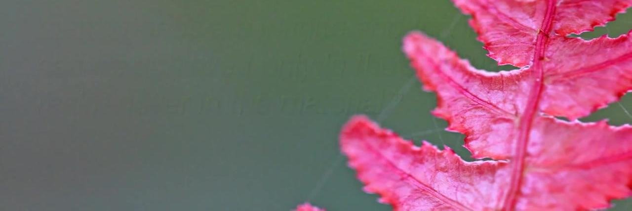 WisdomVedic's profile banner image