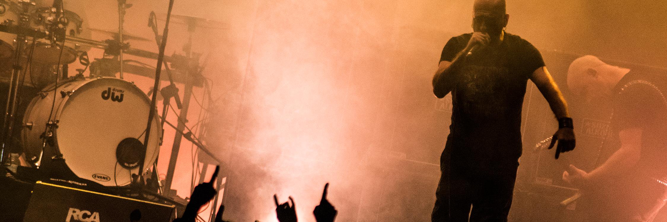 lisigu9's profile banner image