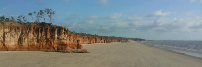 Sarah Cameron banner