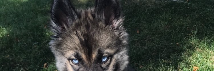 baetzjor12's profile banner image