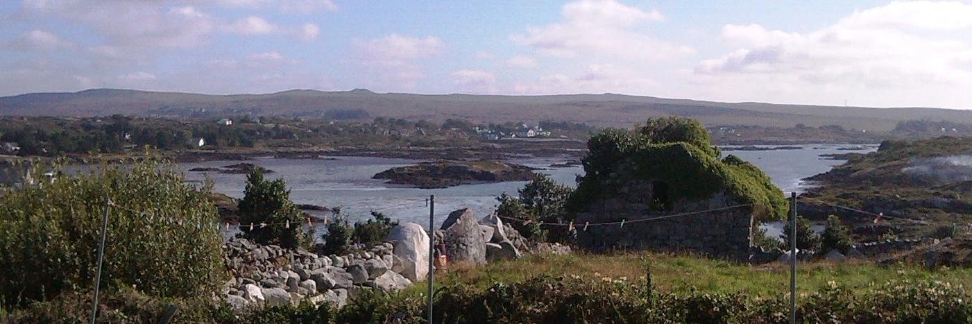 Michael Bharry Ó Flatharta banner