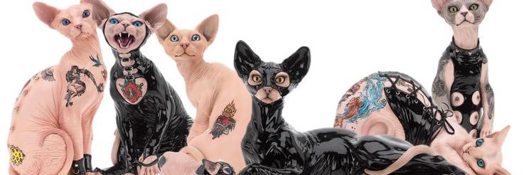 torture_kittens's profile banner image