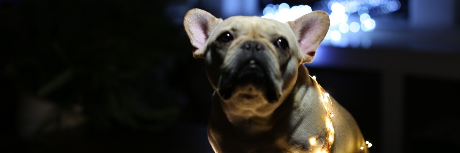 digbyoftheday's profile banner image