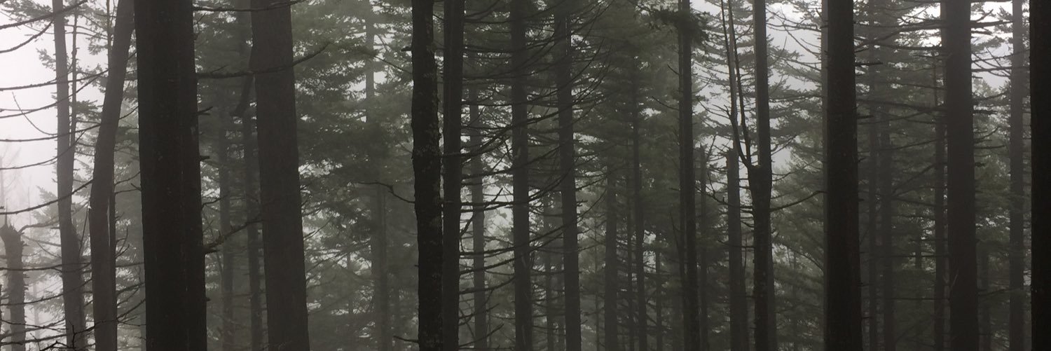 heatherholtz's profile banner image
