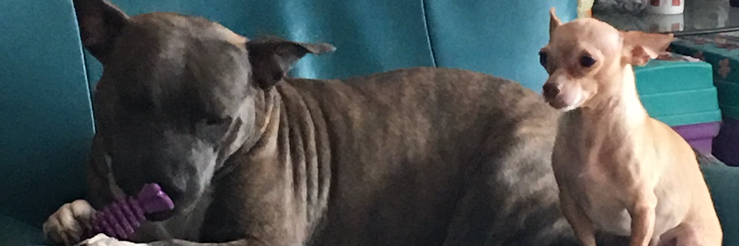 lizpot's profile banner image