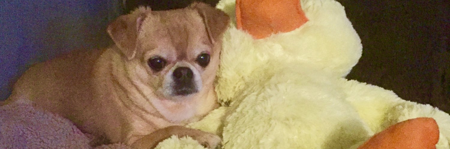 minnimascot's profile banner image