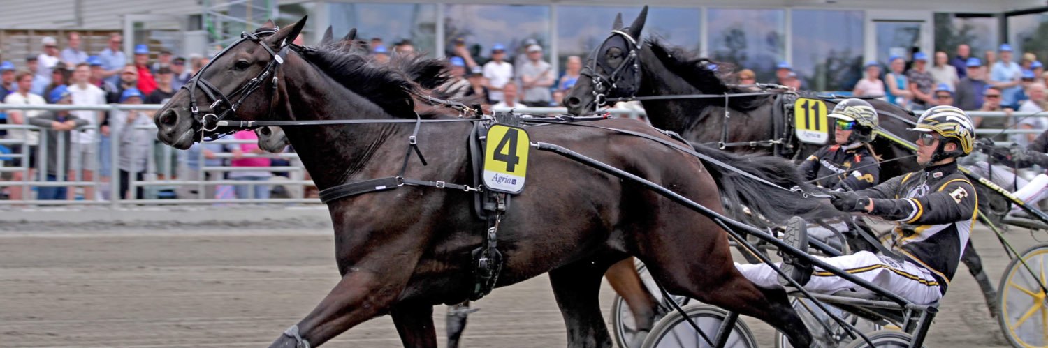 WilliamEkberg's profile banner image