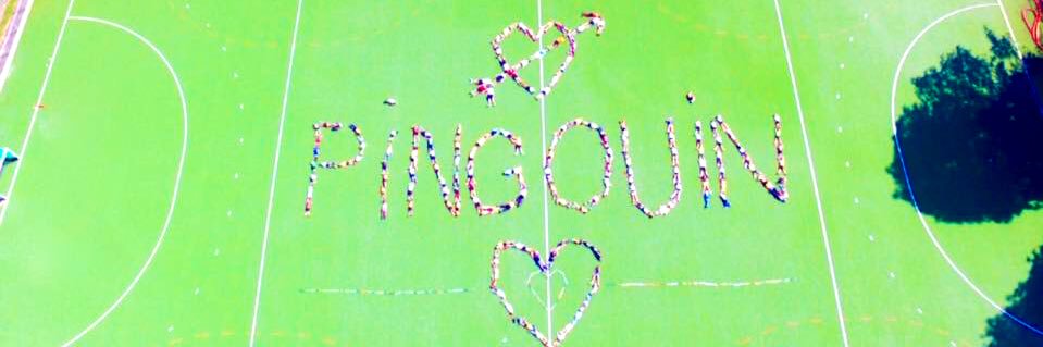 Pingouin HC Nivelles banner