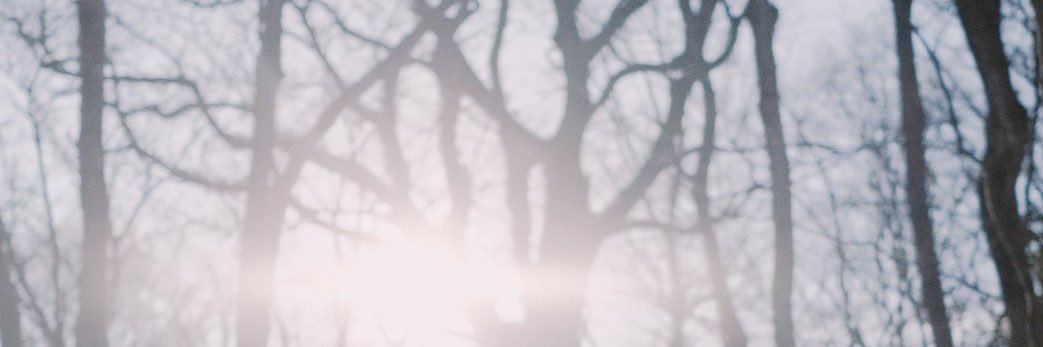WuTingChung's profile banner image