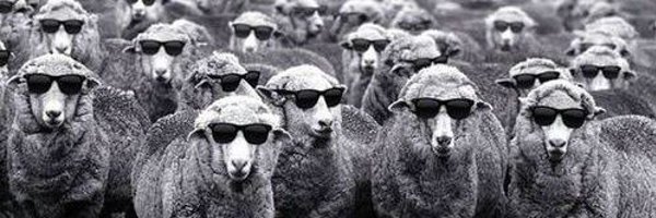 kakato_hin Profile Banner