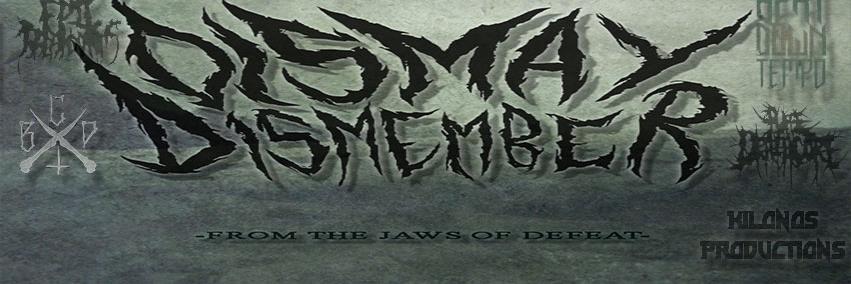 DismayDismember's profile banner image