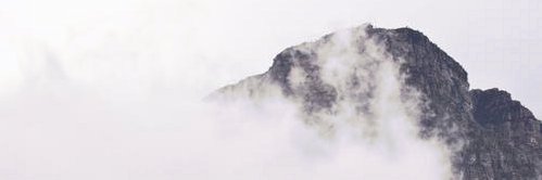 Steven Martin, Jr banner