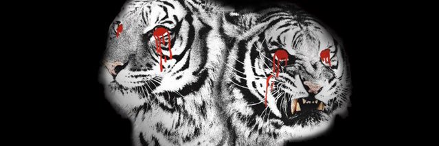 stressedcheetah's profile banner image