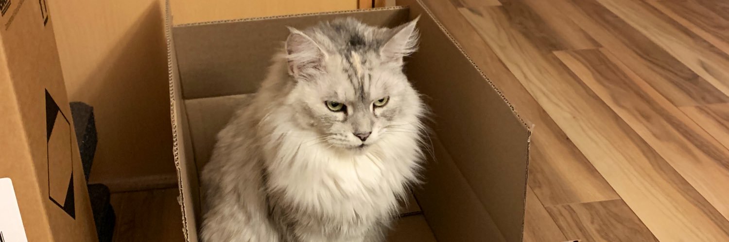 snuffaluffagay's profile banner image