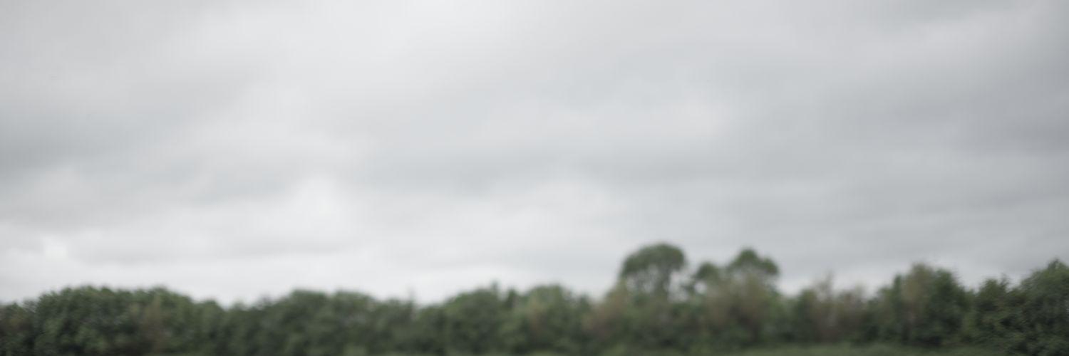 SvenBay's profile banner image