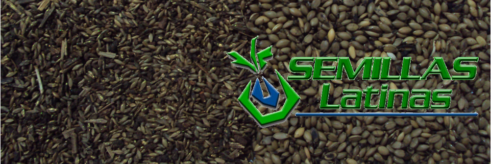 SemLatinas's profile banner image