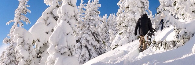 sgxsnow's profile banner image