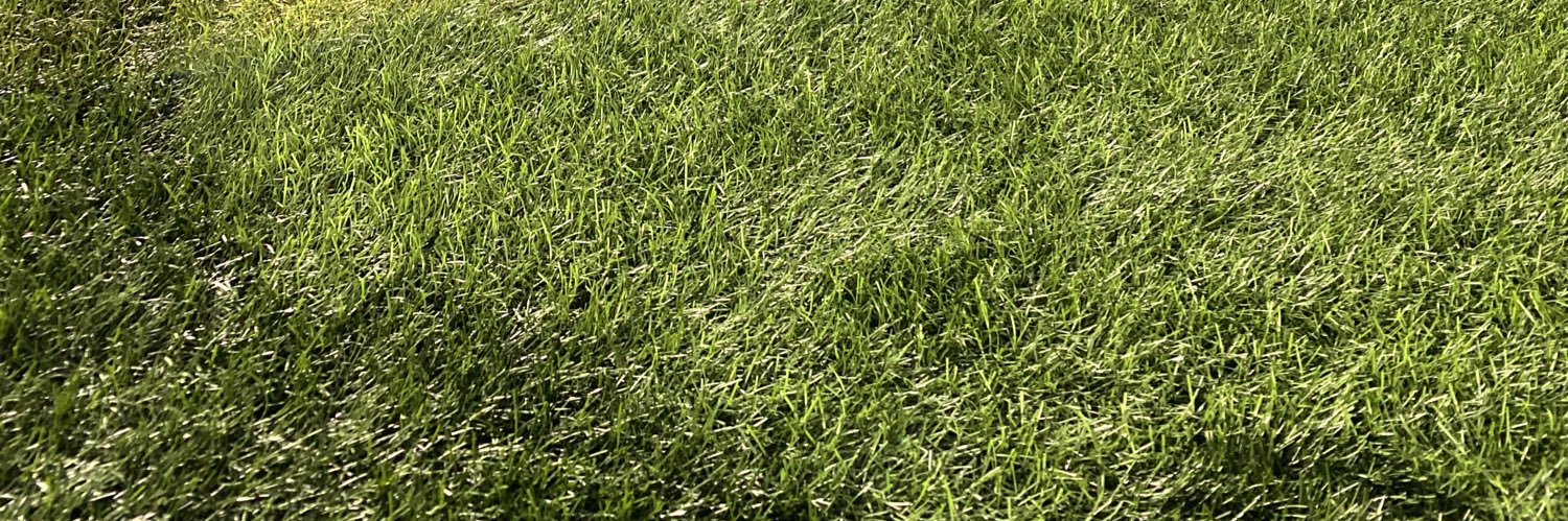 Fandajnr's profile banner image