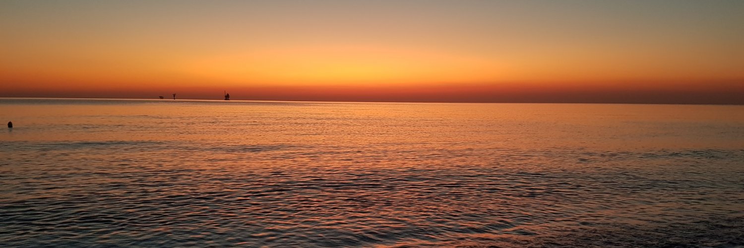 ari_risoleo's profile banner image