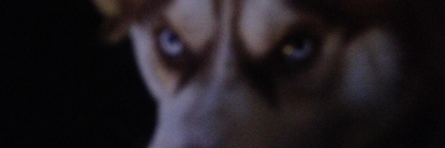 TomcatWolff57's profile banner image