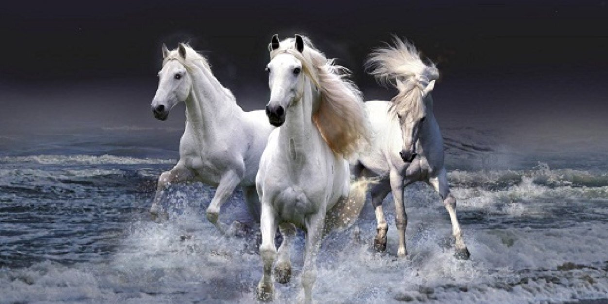 mandy_thind's profile banner image