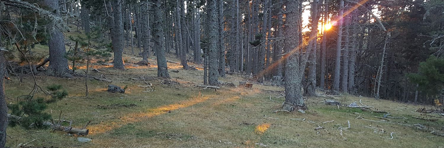 AlbertSans1's profile banner image