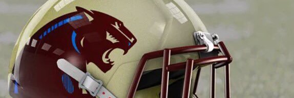 MSPantherFBall's profile banner image