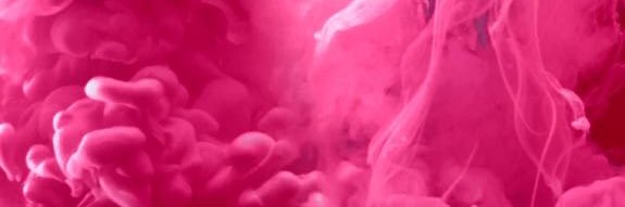 Erica Falcao Amorim banner