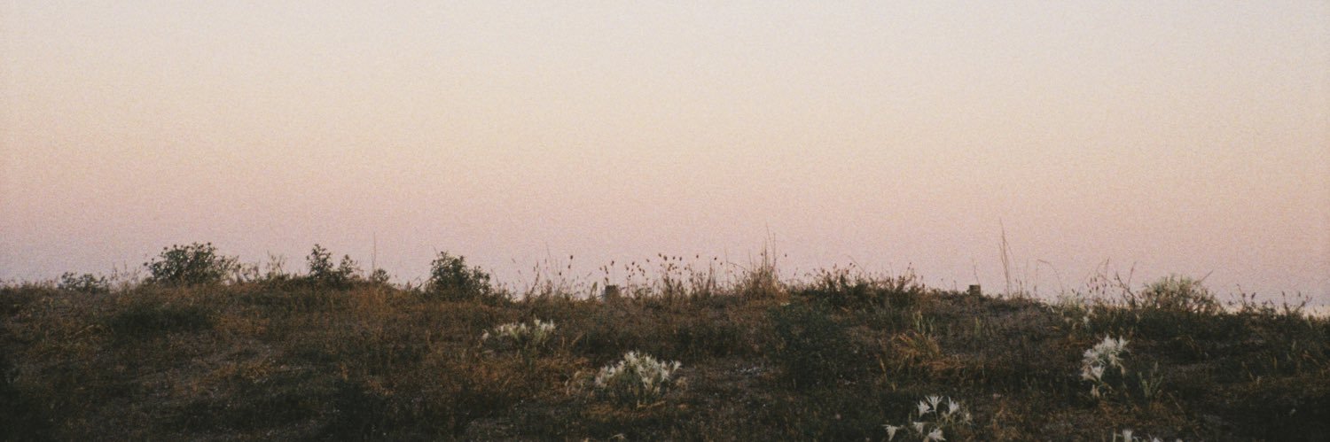 alba 🌙 banner