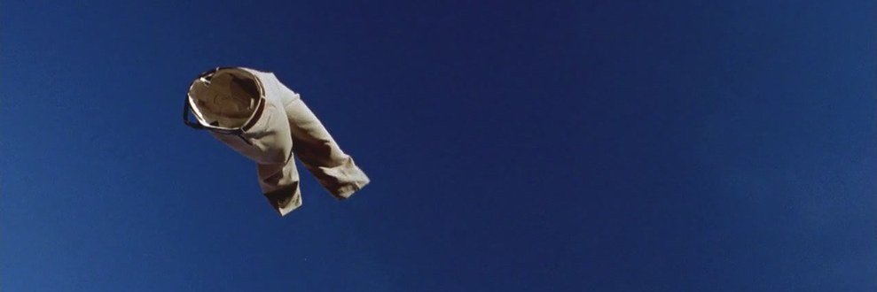 rochiramirez's profile banner image