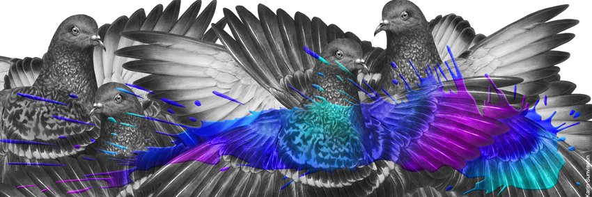 Creative Force banner