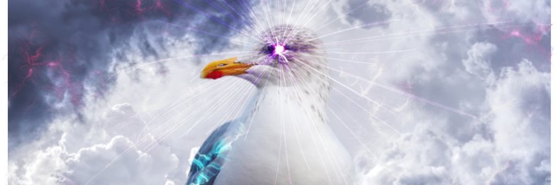 Nepomucki's profile banner image