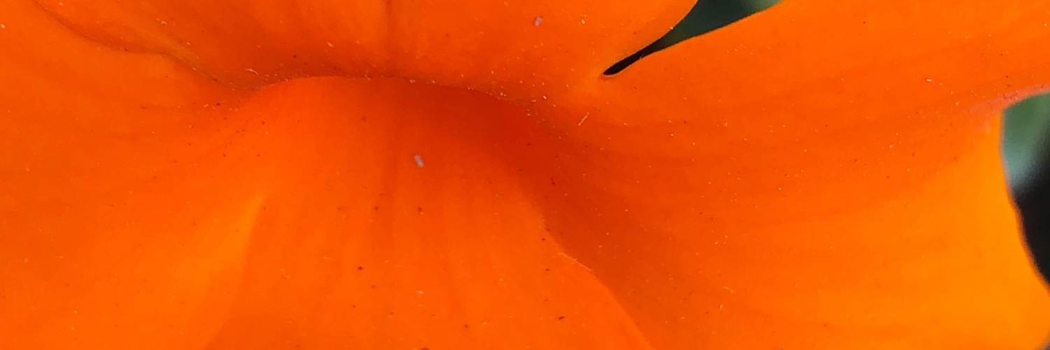 SteveB_SP's profile banner image