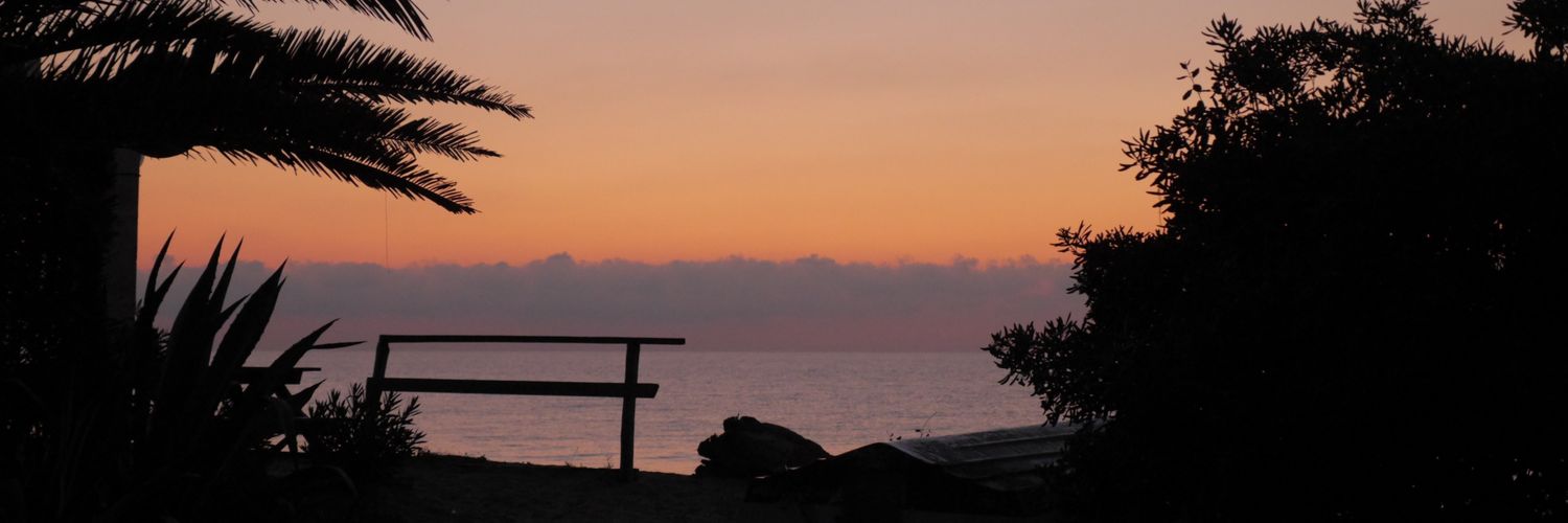 danielthechimp's profile banner image