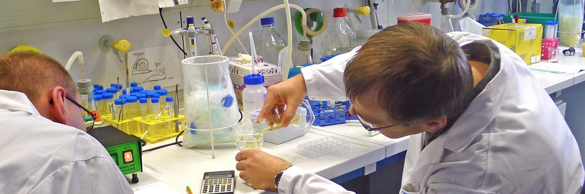 LaborLehrerIn's profile banner image
