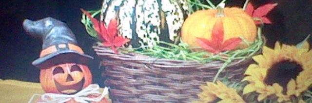anselme98's profile banner image