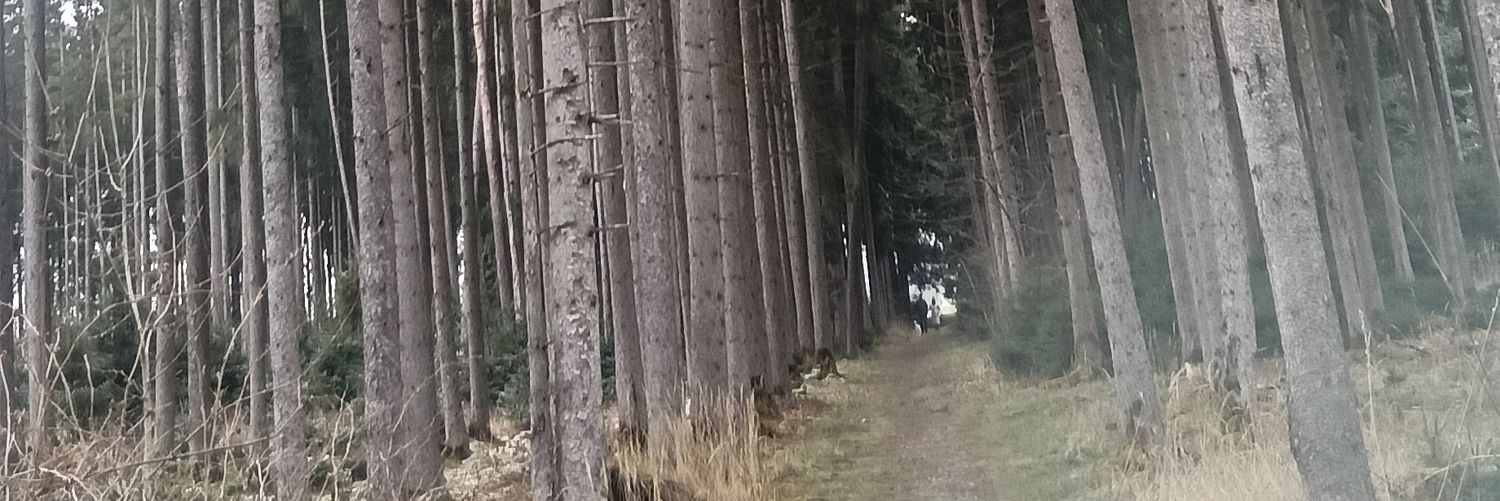 gianpidel's profile banner image