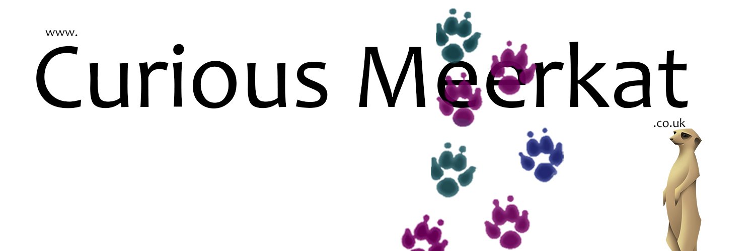 ACuriousMeerkat's profile banner image