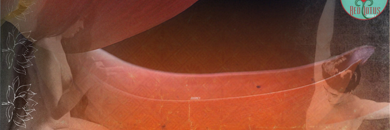 redlotusproject's profile banner image