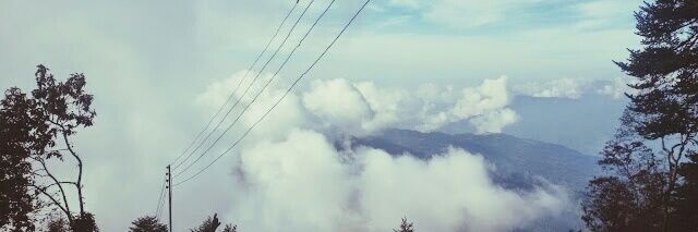 namrabi_'s profile banner image