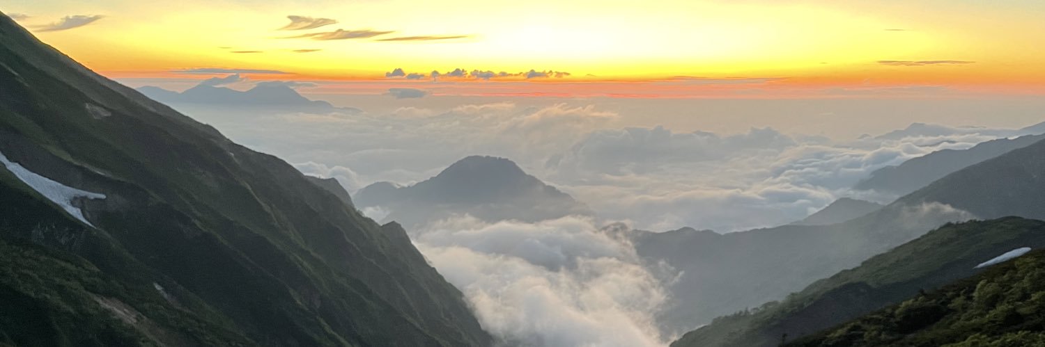 NerveNet1218's profile banner image