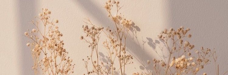Lolla503's profile banner image