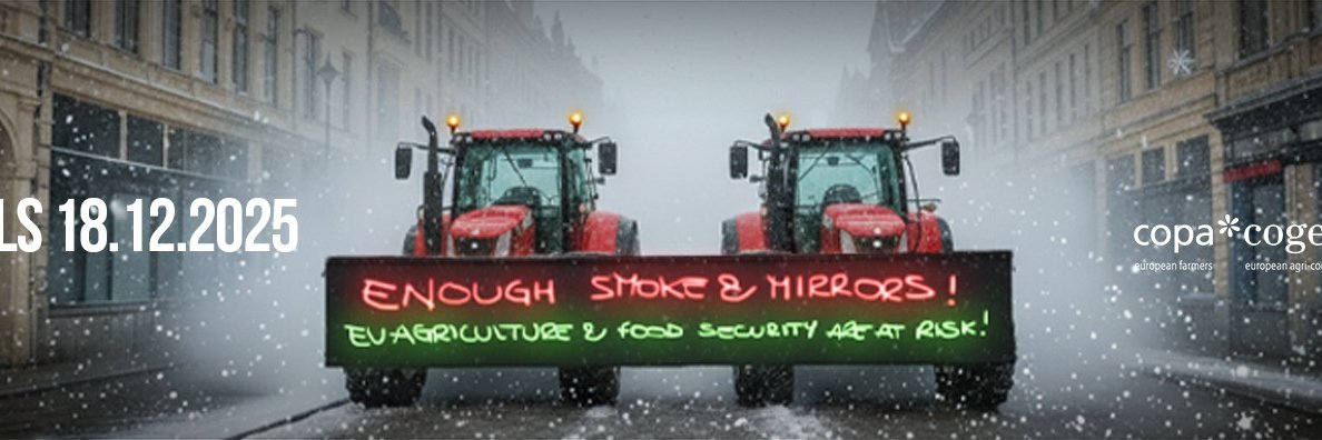 Patrick Pagani banner